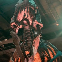 Снимок сделан в Houston Museum of Natural Science пользователем Reese W. 6/23/2019