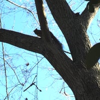 Photo taken at Outer Loop (Houston Arboretum) by Thomas T. on 1/20/2020