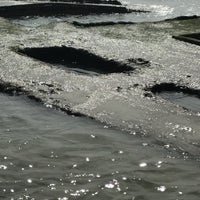 Ss Monte Carlo Shipwreck Coronado Ca