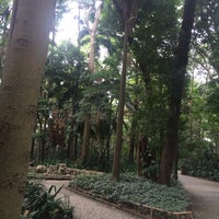 Photo taken at Parque Tenente Siqueira Campos (Trianon) by Deise P. on 1/4/2017