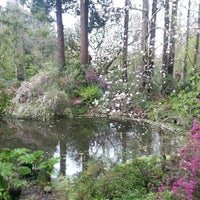 Sonoma Horticultural Nursery Garden Center Photo Taken At Sonoma Horticultural Nursery By Sky K On 4 1 2017