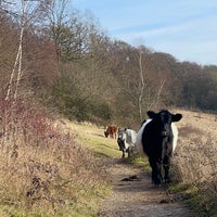 Photo taken at Box Hill National Trust by Briggi M. on 1/28/2024