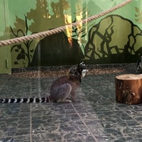 Photo taken at Белгородский зоопарк by Valentina S. on 5/27/2018