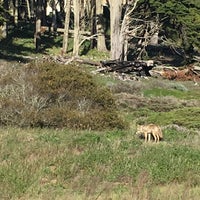 Photo taken at Lobos Creek Trail by Adam M. on 3/27/2018