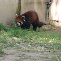 Photo taken at Yagiyama Zoological Park by mizue on 5/5/2023