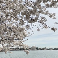 Photo taken at Cherry Blossoms by ♎️ on 3/28/2024
