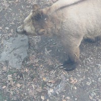 Foto scattata a Central Park Zoo da Nacho C. il 12/16/2023