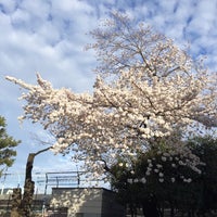 Photo taken at 阿佐谷けやき公園 by nomeansnoo on 3/30/2014
