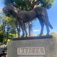 Photo taken at トキノミノル像 by godhorse on 10/7/2023