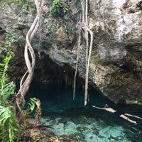Photo taken at Gran Cenote by Mike S. on 1/12/2016