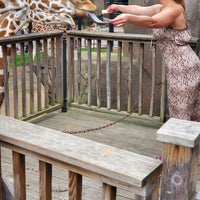 Photo taken at MillerCoors Giraffe Experience by Lindsay P. on 8/22/2019