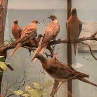 Photo taken at World Of Birds by Sydney R. on 8/9/2019