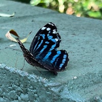 รูปภาพถ่ายที่ Butterfly Wonderland โดย Sydney R. เมื่อ 8/9/2022