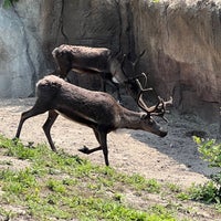 Photo taken at Assiniboine Park Zoo by Sydney R. on 9/8/2023