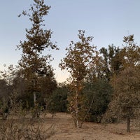 Photo taken at Lower Arroyo Seco Park by Sydney R. on 11/24/2019