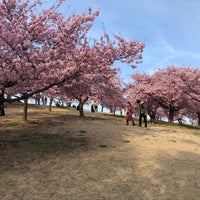 いせさき市民のもり公園 伊勢崎市の公園 いせさき市民のもり公園 伊勢崎市の公園