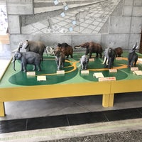 忠類ナウマン象記念館 幕別町 北海道 忠類ナウマン象記念館 幕別町 北海道