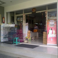 one pet shop