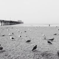 Photo taken at Blackie&amp;#39;s (northside of Newport Pier) by Ben S. on 11/9/2013