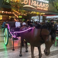Coco Island 椰子岛 1 Tip