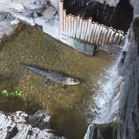 Photo taken at Aquarium Tropical de la Porte Dorée by August1n on 2/16/2020