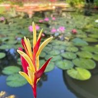 Photo taken at Singapore Botanic Gardens by Ana A. on 3/29/2023