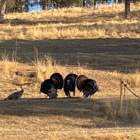Photo taken at Folsom State Prison (FSP) by Kim O. on 11/13/2020