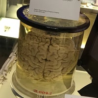 Photo taken at Who Am I? Science Museum, Wellcome Wing by Edibe Ç. on 7/12/2017