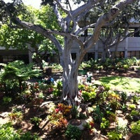 Photo taken at Daniel K. Inouye International Airport (HNL) by Marina G. on 4/27/2013