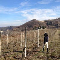 イタリア語教室 アミチツィア 仙台市 宮城県