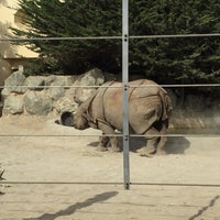 Photo taken at Black Rhino/Nile Hippo Exhibit by William d. on 10/24/2015