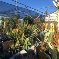Sunset Nursery East Hollywood 4368 W Blvd Photo Taken At Sunset Nursery By Christina P On 12 3 2018