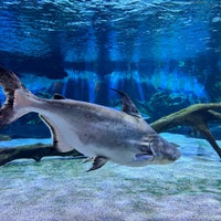 Photo taken at COEX Aquarium by Macy W. on 4/8/2024