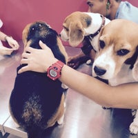 Photo taken at Pet Direct Hospital by TomMi on 6/15/2015