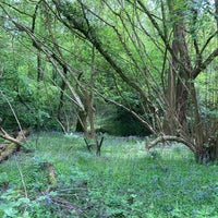 Photo taken at Northmoor Hill Wood by Nick H. on 5/19/2023