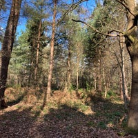 Photo taken at Black Park Country Park by Nick H. on 2/11/2022