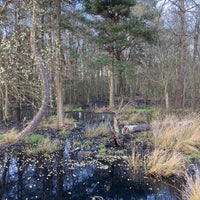 Photo taken at Stoke Common by Nick H. on 4/5/2021