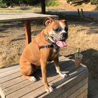 Photo taken at East Side Off Leash Dog Area by Veronica C. on 7/30/2018