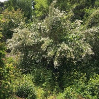 Photo taken at Quarryhill Botanical Garden by Marissa C. on 5/20/2019