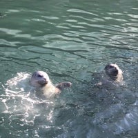 Photo taken at The Oak Bay Marina by Nanase Y. on 3/11/2018