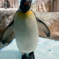 Photo taken at Biodôme de Montréal by Nikolay G. on 8/20/2023