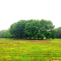 Photo taken at Yoyogi Park by Daishi N. on 5/20/2013