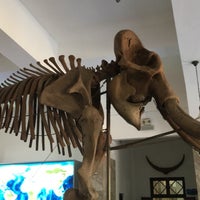 Das Foto wurde bei Museum Geologi von S am 7/19/2018 aufgenommen