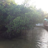 Тандуай Боракай