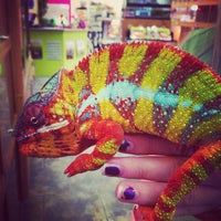 Photo taken at Northampton Reptile Centre by Sam S. on 2/25/2014