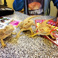 Photo taken at Northampton Reptile Centre by Sam S. on 2/20/2014