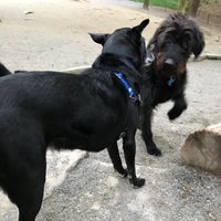 Photo taken at Woodland Park Off-Leash Area by Amy C. on 5/2/2018