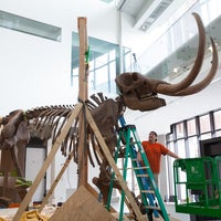 Das Foto wurde bei University of Michigan Museum of Natural History von University of Michigan Museum of Natural History am 8/17/2018 aufgenommen