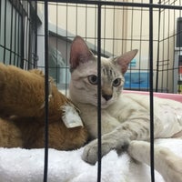 Photo taken at Pethome Vet Clinic by toonnies t. on 2/23/2016