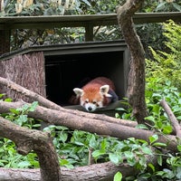 Foto diambil di Central Park Zoo oleh Kai B. pada 5/4/2024